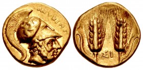LUCANIA, Metapontion. temp. Pyrrhos of Epeiros. Circa 280-279 BC. AV Tetrobol (13mm, 2.82 g, 7h). Attic standard.