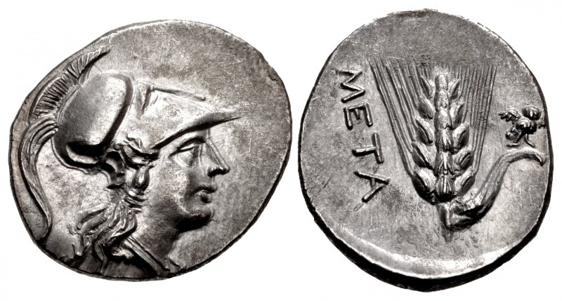 LUCANIA, Metapontion. Punic occupation. Circa 215-207 BC. AR Half Shekel – Drach...