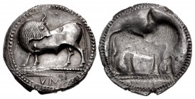 LUCANIA, Sybaris. Circa 550-510 BC. AR Nomos (29mm, 7.85 g, 11h).