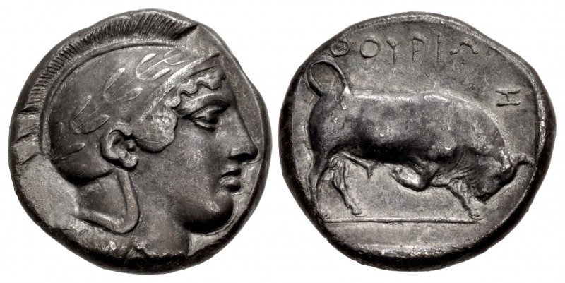LUCANIA, Thourioi. Circa 443-400 BC. AR Double Nomos – Distater (24.5mm, 15.47 g...