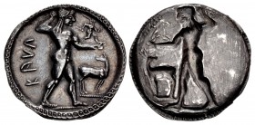 BRUTTIUM, Kaulonia. Circa 525-500 BC. AR Nomos (30mm, 7.92 g, 12h).