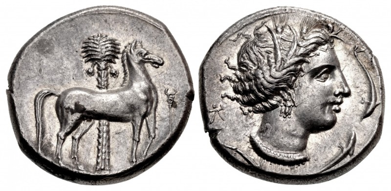 SICILY, Entella. Punic issues. Circa 345/38-320/15 BC. AR Tetradrachm (25mm, 16....