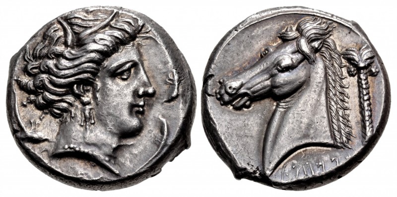 SICILY, Entella. Punic issues. Circa 320/15-300 BC. AR Tetradrachm (25mm, 17.06 ...