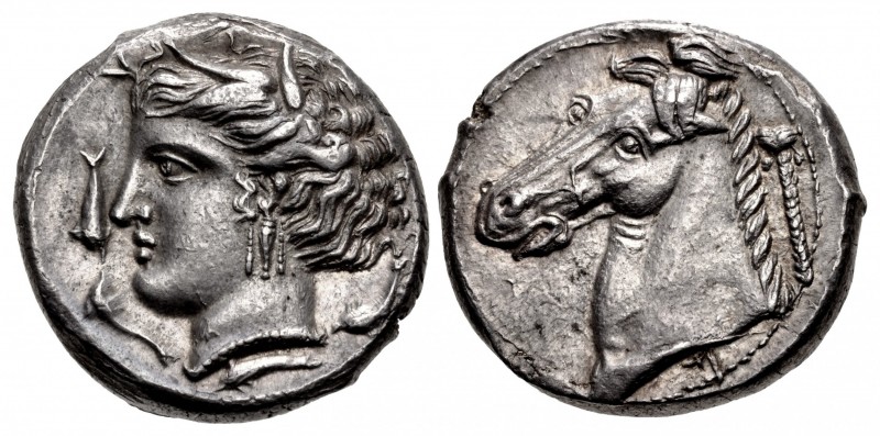 SICILY, Entella. Punic issues. Circa 320/15-300 BC. AR Tetradrachm (25mm, 16.86 ...