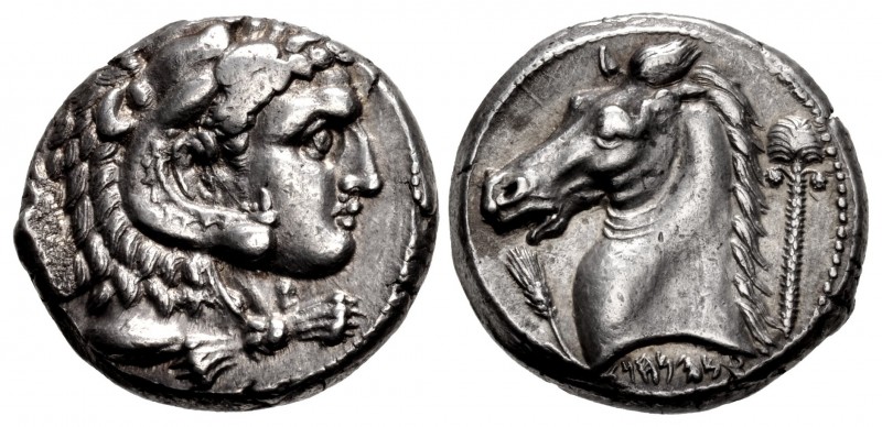 SICILY, Entella. Punic issues. Circa 300-289 BC. AR Tetradrachm (2425.5mm, 17.10...