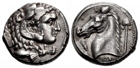 SICILY, Entella. Punic issues. Circa 300-289 BC. AR Tetradrachm (2425.5mm, 17.10 g, 12h).