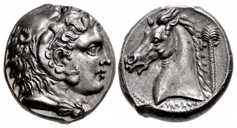 SICILY, Entella. Punic issues. Circa 300-289 BC. AR Tetradrachm (24mm, 17.37 g, ...