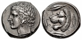 SICILY, Leontini. Circa 430-425 BC. AR Tetradrachm (24mm, 17.24 g, 7h).