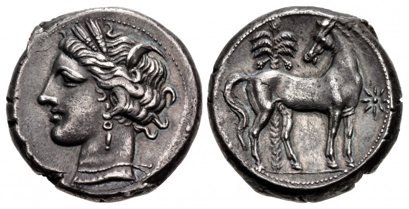 CARTHAGE. Circa 300 BC. AR Shekel (19mm, 7.47 g, 12h). Carthage mint. Head of Ta...