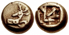 IONIA, Ephesos. Phanes. Circa 625-600 BC. EL Hekte – Sixth Stater (9.5mm, 2.23 g).