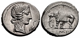 Q. Caecilius Metellus Pius. 81 BC. AR Denarius (18mm, 3.96 g, 1h). North Italian mint.
