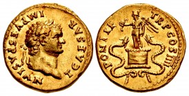 Titus. As Caesar, AD 69-79. AV Aureus (19mm, 7.17 g, 6h). Rome mint. Struck under Vespasian, AD 75.