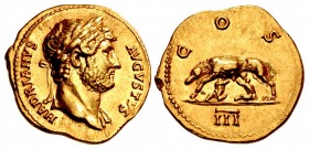 Hadrian. AD 117-138. AV Aureus (20mm, 7.34 g, 6h). Rome mint. Group 4, circa AD 124-125.
