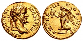 Septimius Severus. AD 193-211. AV Aureus (20mm, 7.10 g, 12h). Rome mint. Struck AD 196-197.