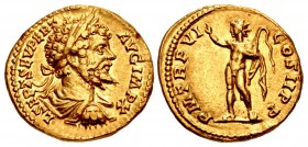 Septimius Severus. AD 193-211. AV Aureus (20mm, 7.27 g, 5h). Rome mint. Struck AD 197-198.