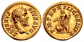 Septimius Severus. AD 193-211. AV Aureus (19mm, 7.05 g, 5h). Rome mint. Struck AD 205.