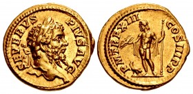 Septimius Severus. AD 193-211. AV Aureus (20mm, 7.45 g, 6h). Rome mint. Struck AD 205.