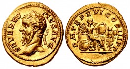 Septimius Severus. AD 193-211. AV Aureus (20mm, 7.10 g, 6h). Rome mint. Struck AD 208.