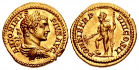 Caracalla. AD 198-217. AV Aureus (20mm, 7.30 g, 6h). Rome mint. Struck AD 205.