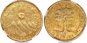 Central American Republic gold 8 Escudos 1828 CR-F XF Details (Obverse Scratched) NGC, San Jose mint, KM17, Onza-1746. A pleasing golden example which...