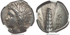 LUCANIA. Metapontum. Ca. 330-280 BC. AR stater (21mm, 7.78 gm, 8h). NGC AU 4/5 - 5/5. Head of Demeter left, hair loose and wreathed in grain ears, wea...