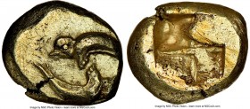IONIA. Phocaea. Ca. 521-478 BC. EL sixth-stater or hecte (11mm, 2.58 gm). NGC AU 4/5 - 3/5, scuff. Two seals playing, chasing each other in a circle /...
