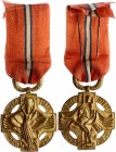 Czechoslovakia "Inter-Allied Victory Medal 1914 - 1919" 1920 
The Medal was instituted on 27 July 1920 and the award criteria set out on 13 February ...