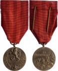 Czechoslovakia Medal for Service to Homeland 
Medaile za službu vlasti