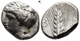 Lucania. Metapontion 340-330 BC. Nomos AR