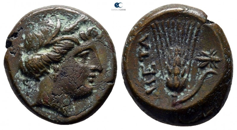 Lucania. Metapontion circa 300-250 BC. 
Bronze Æ

15mm., 3,27g.

Wreathed h...