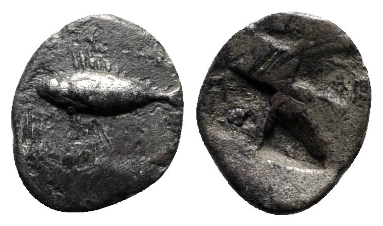 Mysia. Kyzikos circa 550-500 BC. 
Hemiobol AR

9mm., 0,55g.

Tunny to left ...