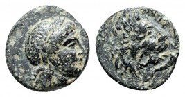 Troas. Antandros circa 400-250 BC. Bronze Æ