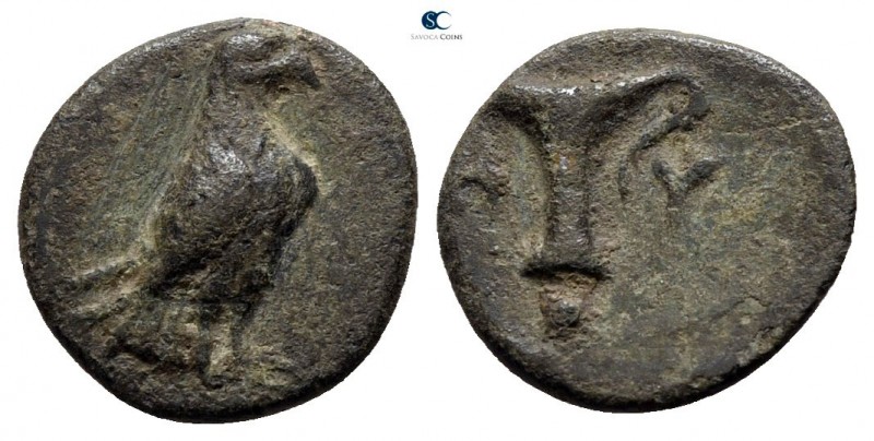 Aeolis. Kyme 250-200 BC. 
Bronze Æ

11mm., 0,83g.

 Eagle standing right / ...