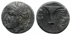 Aeolis. Tisna 350-300 BC. Bronze Æ