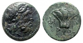Islands off Caria. Rhodos circa 229-205 BC. Bronze Æ