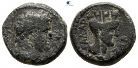 Decapolis. Gadara. Titus, as Caesar AD 76-78. Bronze Æ