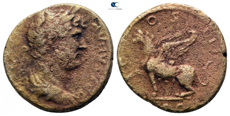 Hadrian AD 117-138. Rome
Quadrans Æ

17mm., 3,26g.

HADRIANVS AVGVSTVS, dra...