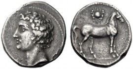 Greek Coins   Iberia, Carthago Nova   Hispano-Carthaginian issues . Shekel circa 221-206, AR 7.19 g. Beardless male head l. Rev. Horse standing r.; ab...