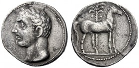 Greek Coins   Iberia, Carthago Nova   Hispano-Carthaginian issues . Trishekel circa 221-206, AR 22.12 g. Male head l. (Hannibal?). Rev. Horse standing...