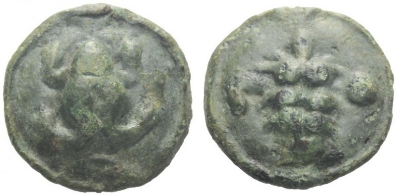 Greek Coins   Apulia, Luceria  Uncia circa 217-212, Æ 12.30 g. Frog seen from ab...
