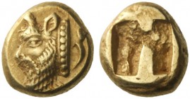 Greek Coins   Phocaea  Hecte circa 521-478, EL 2.59 g. Head of river-god l.; behind, seal. Rev. Incuse punch. BMC 4. Bodenstedt 35.  Very rare. Well s...