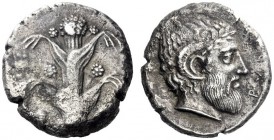 Greek Coins   Cyrenaica, Barce  Tetradrachm 380, AR 12.84 g. Silphium plant with leaves and flowers. Rev. BAPKAI retrograde Laureate head of Zeus Ammo...