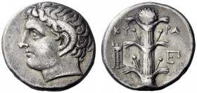 Greek Coins   Cyrene  Didrachm circa 308-277, AR 7.50 g. Head of Apollo Carneios l. Rev. KY – PA Silphium plant with four leaves; to l., tripod and to...