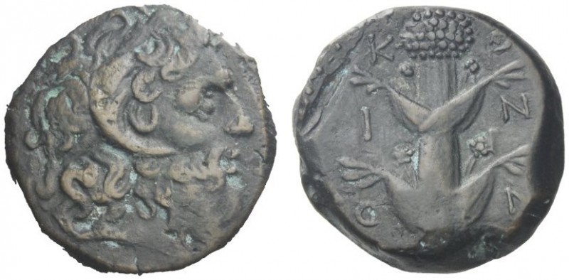 Greek Coins   Cyrene  Bronze, Koinon issue circa 250, Æ 13.82 g. Diademed of Zeu...