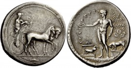 Greek Coinage 
 Selinus 
 Tetradrachm circa 440, AR 16.87 g. Slow quadriga driven r. by Artemis, holding reins in both hands; beside her Apollo r., ...