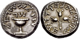 Greek Coinage 
 Iudea, The Jewish War, 66 – 70 
 Shekel year 3, 68-69 AD, AR 14.17 g. SQL YSR'L (Shekel of Israel) in paleo-Hebrew characters, Templ...