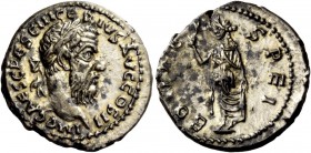 The Roman Empire 
 Pescennius Niger, 193 – 194 
 Portraits of Niger seem sometimes crude, sometimes reasonably well made with a round stubby nose. I...