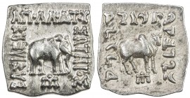 INDO-GREEK: Apollodotus I, ca. 180-160 BC, AE square drachm (2.41g), Bop-4G, elephant right // humped bull (zebu) right, superb strike, choice EF to A...