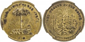 UNITED STATES: brass token, 1860, Fuld-511/516b, AU details, 22mm, brass, NO SUBMISSION TO THE NORTH / 1860, Palmetto tree, with cotton bales, sugar h...