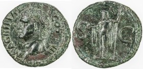 ROMAN EMPIRE: Agrippa, died 12 BC, AE as (10.51g), Rome, RIC-58 Caligula; BMC-161 Tiberius, struck 37-41 AD under Caligula, head of Agrippa left, wear...